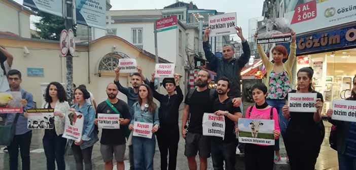 Hayvan Özgürlüğü Aktivistlerinin Türkiye'deki İlk Süpermarket ve Metro Eylemi