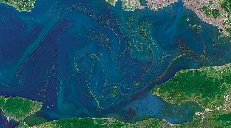 Marmara Korunmayı Bekliyor