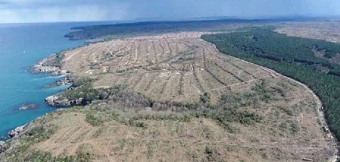 Sinop ve Akkuyu Nükleer Santral Projeleri Derhal İptal Edilsin!