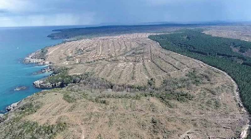 Sinop ve Akkuyu Nükleer Santral Projeleri Derhal İptal Edilsin!