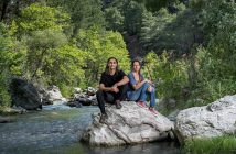 "We have become guardians": Turkey's accidental forest protectors