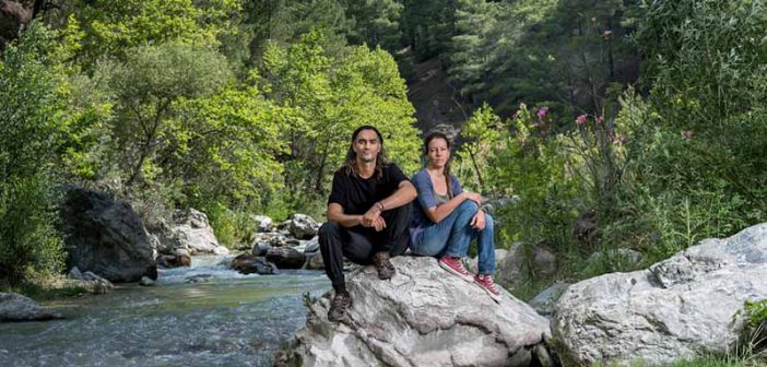 "We have become guardians": Turkey's accidental forest protectors