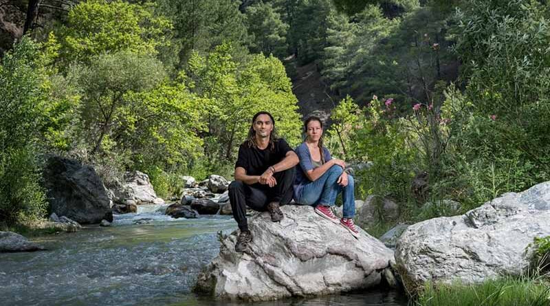 "We have become guardians": Turkey's accidental forest protectors