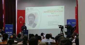 Hayvan hakları savunucuları: "Adalar Ulaşım Çalıştayı" bizim için hükümsüzdür!