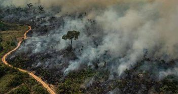 Video: Amazon'un yerli halkı Muralardan yangınlara ve Bolsonaro'ya karşı direniş sözü