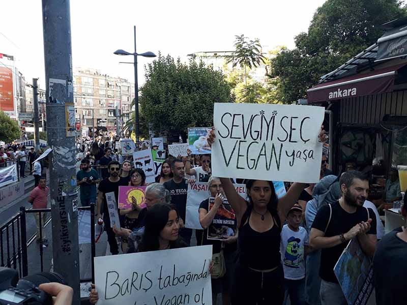 Resmi hayvan hakları yürüyüşü Kadıköy'de yapıldı