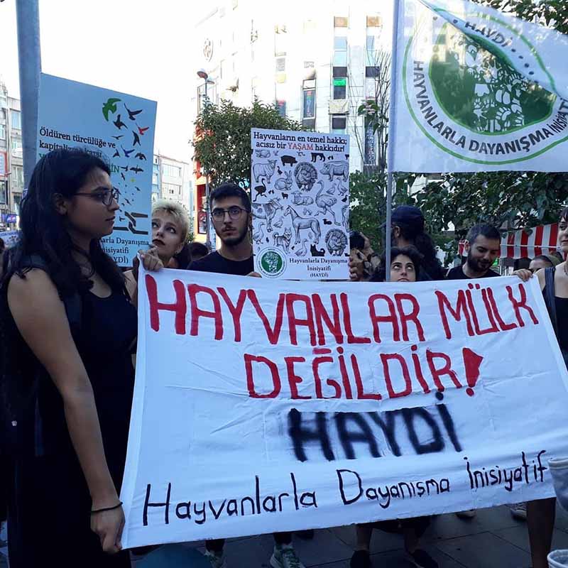 Resmi hayvan hakları yürüyüşü Kadıköy'de yapıldı
