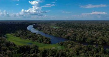 Amazon Ormanları dünya için neden önemli?