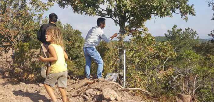 Kaz Dağları savunucuları Atikhisar’da ağaçları tek tek numaralandırdı