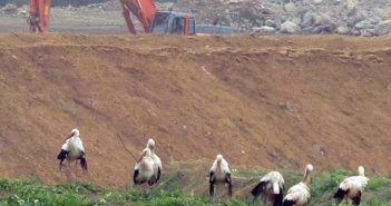 Korona Günlerinde Yapılan Tahribat Raporu