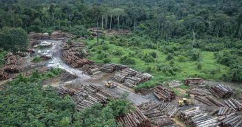Ormansızlaştırma Hız Kesmeden Sürüyor Hatta Daha Çok Arttı