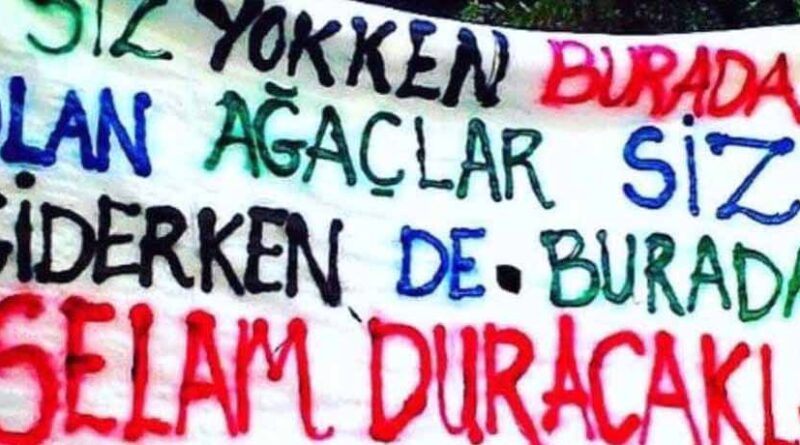 Gezi ve Gıda Hareketinin Bağımsızlığı - Umut Kocagöz