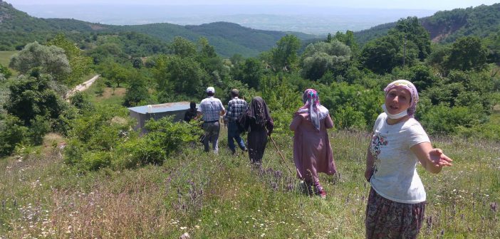 Kirazlıyaylalı Kadınlar Barikat Dinlemedi